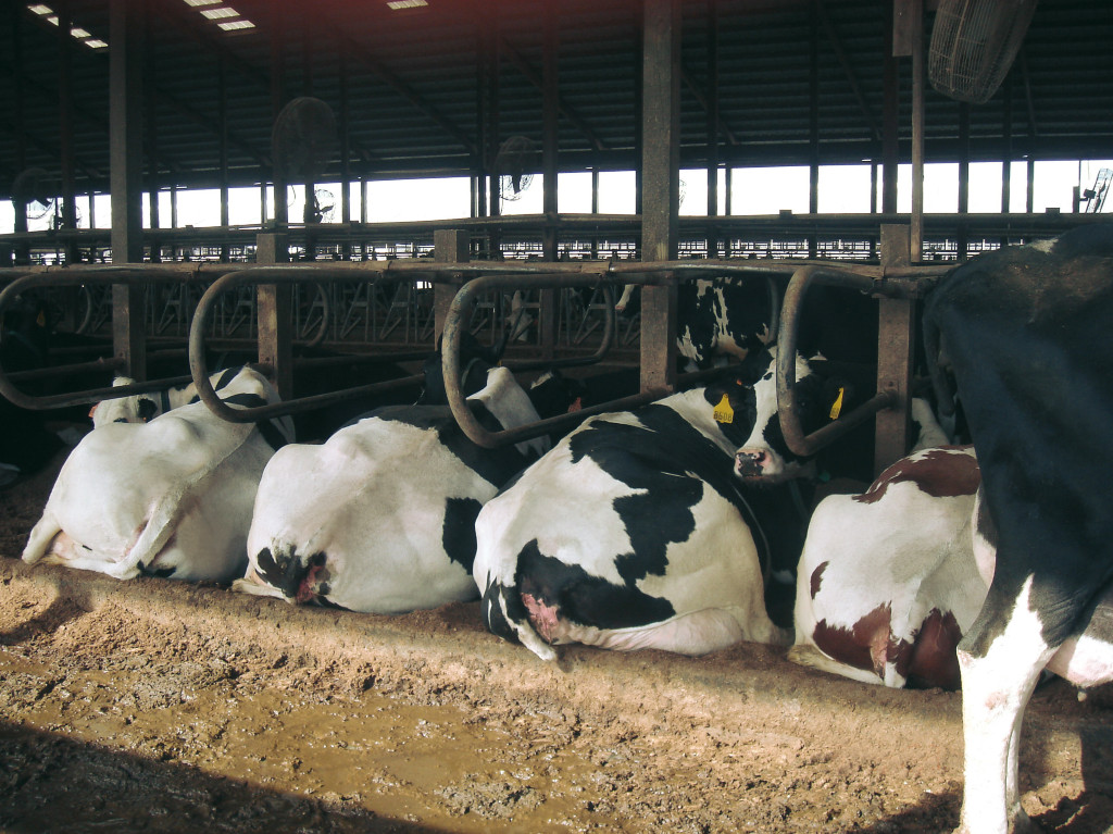 Bedding Recovery Unit FAN